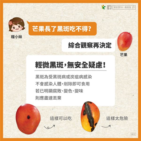 有黑斑的芒果可吃，但若是大面積發黑腐爛，則勿再食用。（圖／翻攝自鮮享農YA - 農糧署臉書）