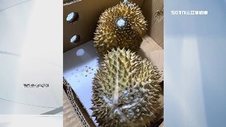 榴槤發霉想退貨　客控遭業者「強制退群」