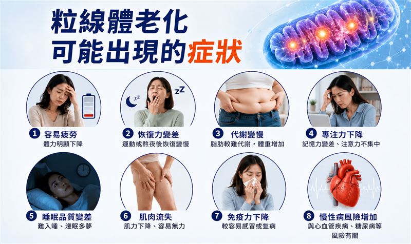 40歲後真的會「斷崖式衰老」？博士解析身體出現的關鍵變化