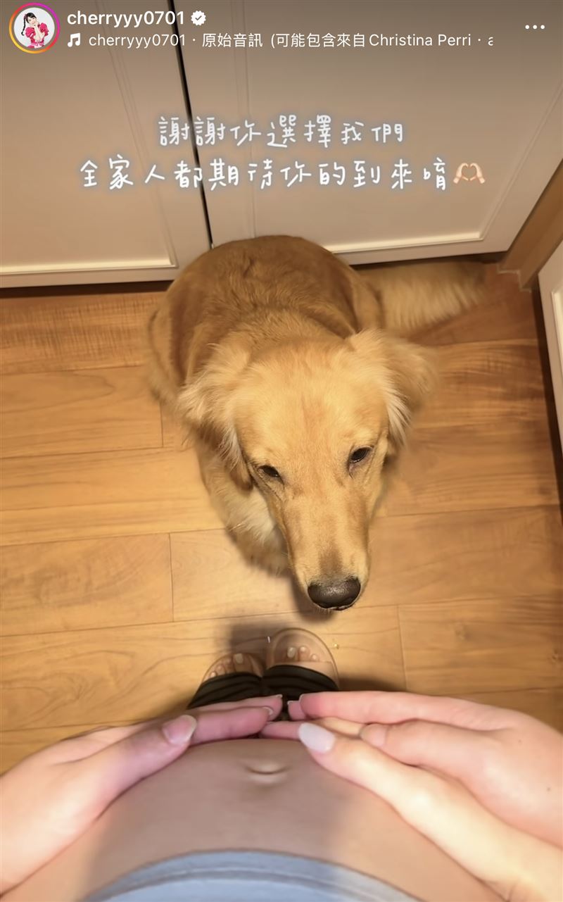 櫻桃姐姐宣布懷孕。（圖／翻攝自IG）