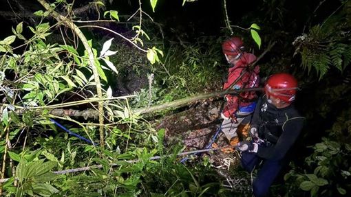 找水源墜200M邊坡！製茶師下半身癱瘓慘死