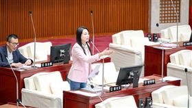 闕枚莎於總質詢中正式提議推動「台北市第一座專屬舞蹈中心」，（圖／翻攝畫面）