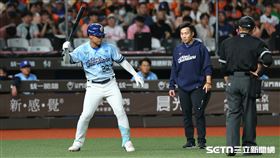 中職37年例行賽，富邦悍將中外野手申皓瑋自打球，防護員上場查看是否受傷。（圖／記者劉彥池攝影）