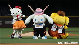 中職37年例行賽，統一獅「三麗鷗主題日」最後一天吸引16875位球迷進場。（圖／記者劉彥池攝影）