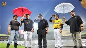「象猿戰」因雨勢過大保留比賽。（圖／中信兄弟提供） 