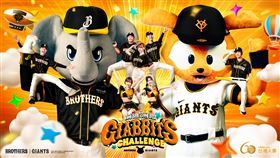 中信兄弟、讀賣巨人主題日，GIABBIT FAMILY和啦啦隊VENUS再次來到臺灣。（圖／中信兄弟球團提供） 