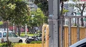 小蜜蜂，數萬隻飛出來，中古車行，成交，蜂群「分家」奇景(圖／翻攝畫面)