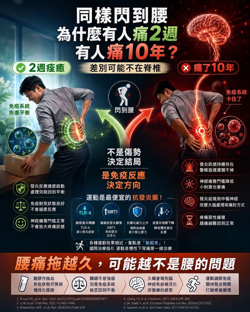 醫師王思恒表示,研究發現,預測人的腰痛會否持續一輩子的關鍵,是人的免疫系統。(圖/取自「一分鐘健身教室」)