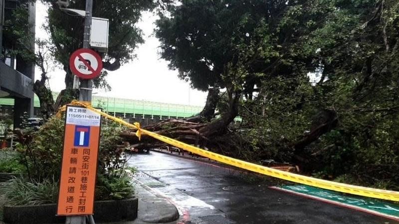 北市水源路樹木傾倒壓壞汽車 現場警戒