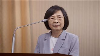 藍委提鞭刑公投　沈淑妃：中選會有權審查