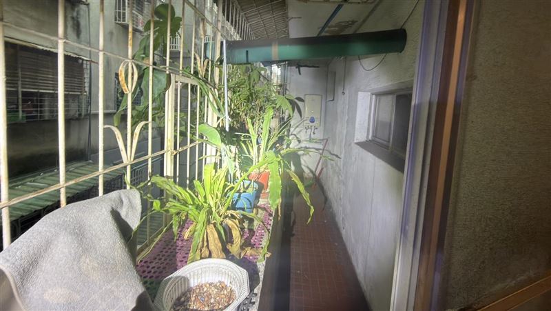 新北中和民享街某公寓，一名定期需要洗腎的60歲陳姓男子，被發現全裸陳屍家中浴缸內。（圖／翻攝畫面）