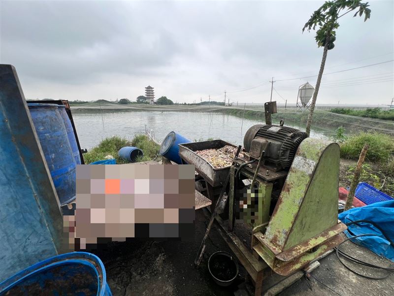 一名工人在魚池旁準備絞碎魚肉豬肉當飼料，疑操作不慎右上臂被捲入機器。(圖／翻攝畫面)