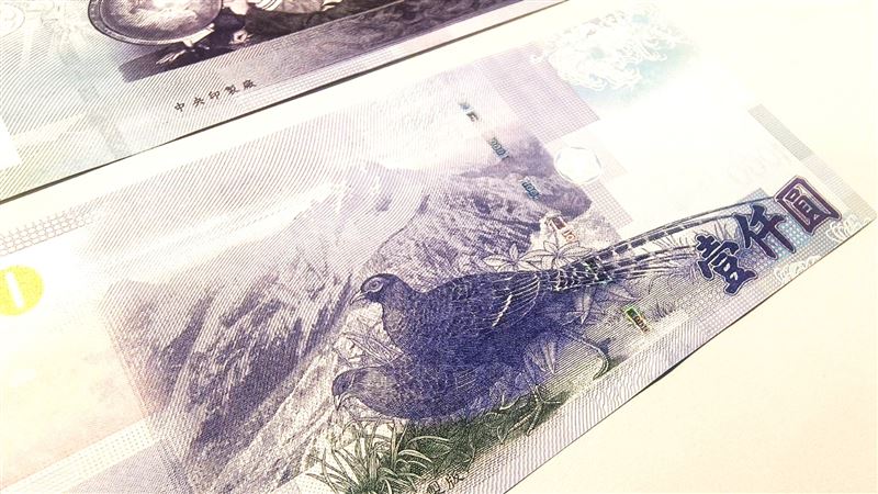 印在千元大鈔上的「國寶神鳥」帝雉真的是台灣最大型的鳥類嗎?但台大發現新種「滅絕孔雀」比帝雉更大。(圖/記者許雅惠攝影)