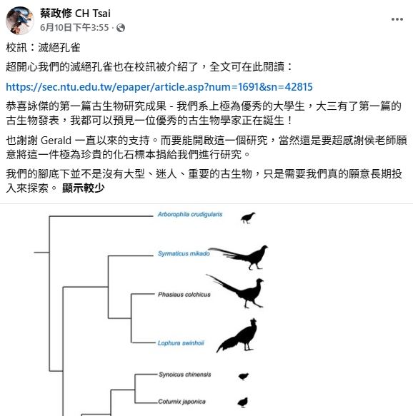 滅絕孔雀(圖/翻攝自蔡政修 CH Tsai教授臉書)