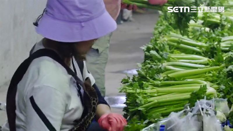 西洋芹被譽為超級食物。（圖／資料照）