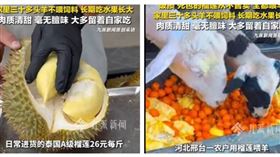 河北果農將無法販售的榴槤拿來餵羊，特殊畫面在網路掀起熱議。（圖／翻攝自九派新聞，下同）
