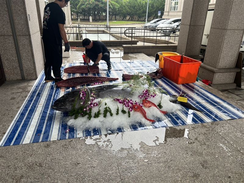一尾由東港新鮮直送、重達百斤的黑鮪魚，現身雲林縣議會，上演「黑鮪魚現切秀」。（圖／江海房屋提供）