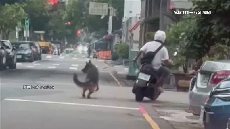 「騎車遛毛孩」險釀拖行 網:檢舉救毛孩