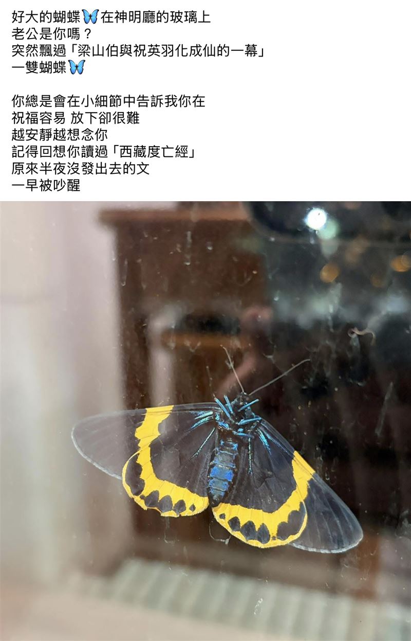 傅子純頭七有蝴蝶停玻璃窗,遺孀悲喊:「老公是你嗎」。(圖/翻攝自傅子純的粉絲團)