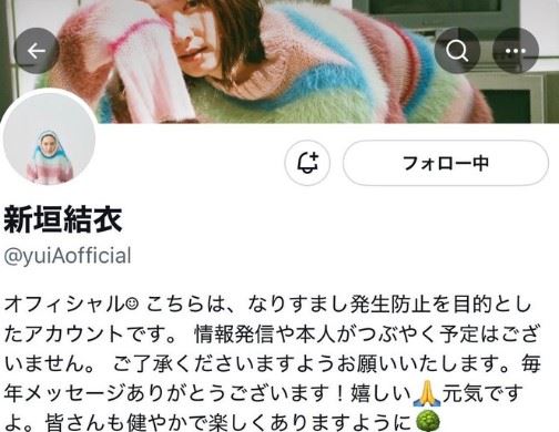 有網友發現新垣結衣的X帳號個人簡介更新了一段話。（圖／翻攝自X平台 @新垣結衣fanpage）