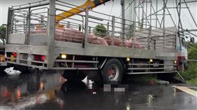 車禍,台南,六甲,運豬車,騎士
