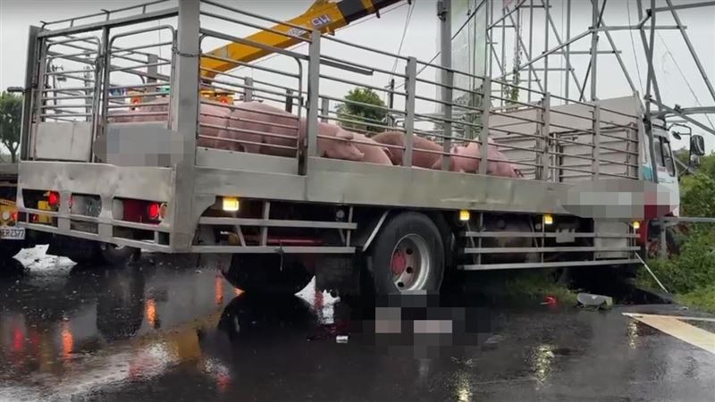 新/運豬車猛撞!台南騎士慘死輪下