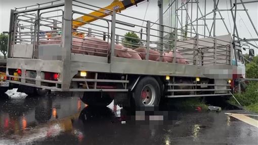 新／運豬車猛撞！台南騎士慘死輪下
