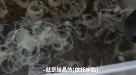 依托咪酯,工廠,源頭,起訴（圖／桃園地檢署提供）