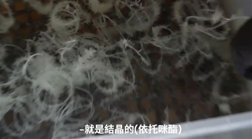 毒駕半年害死18命「依托咪酯」源頭找到了