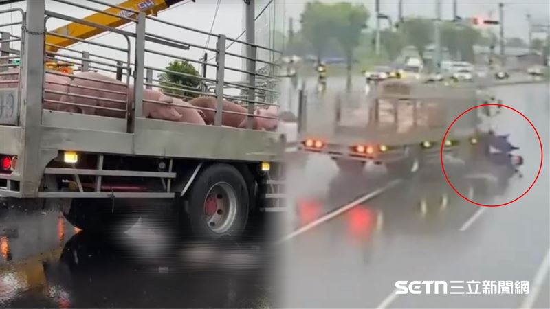 身份曝!遭運豬車輾破頭…父母認屍吐1句