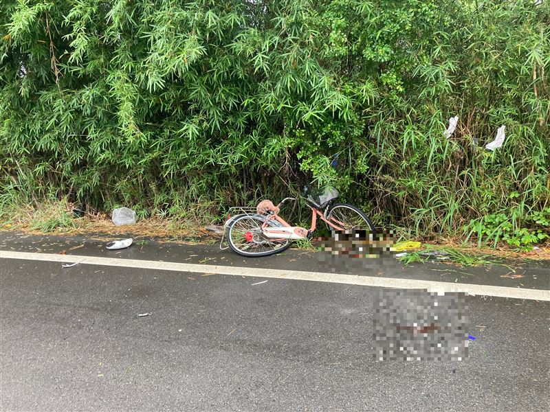 阿嬤遭追撞後,在路邊淋雨將近2小時才被發現,送醫搶救後仍宣告不治。(圖/翻攝畫面)有馬