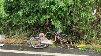 87歲嬤被撞噴慘死！冷血男躲回家：沒看到