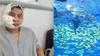 宣稱兒童也能玩！男體驗潛水竟遭鯊魚咬頭