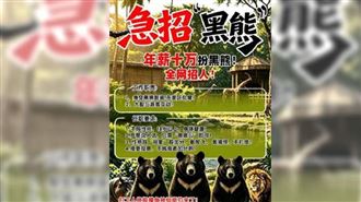 年薪47萬包吃住！中國動物園急徵假黑熊
