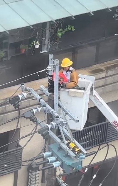 台電員工在實施工程前,用一個「三角錐新家」來安置雛鳥。(圖/翻攝自Threads @hannah.chang1008)