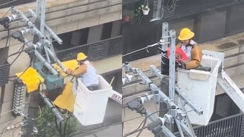 台電人員拆鳥巢掏1物改裝!網讚暖心國家