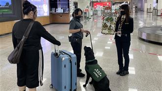 出國別買！防檢署：1類伴手禮重罰100萬