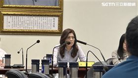 鄭麗文召開中外記者會，說明訪美成果（圖／記者詹宜庭攝影）