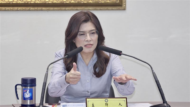 訪美遭降級接待?鄭麗文:空穴來風