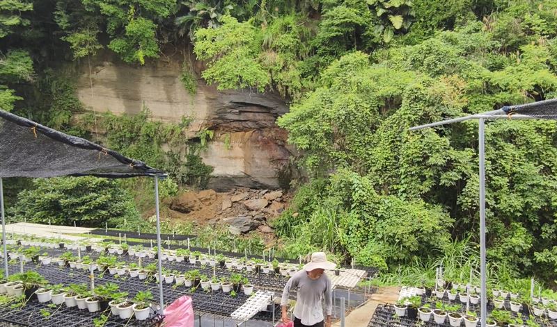 連日下雨,大湖山區一處5層樓高的山壁突然大片崩落。(圖/翻攝畫面)