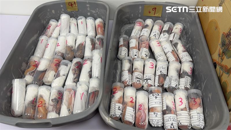 大陸「304條命」藏行李入境!身份曝恐死