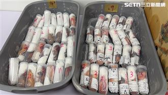 大陸「304條命」藏行李來台！身份曝恐死