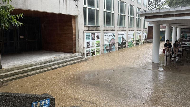 熊貓館有瀑布!動物園豪雨「這幾館」暫休