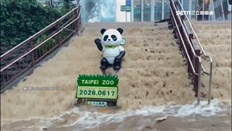 暴雨灌動物園！貓熊館、大象展區滲水滲泥