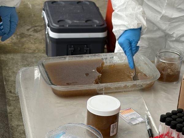 涉嫌遠赴紐西蘭設廠製毒的台籍製毒師林東穎等3嫌,遭台紐警方跨國聯手逮捕。(圖/翻攝畫面)