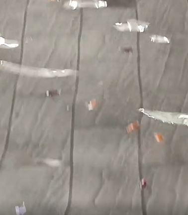西門淹水成了蟑螂漂漂河,讓涉水逛街的民眾心驚驚。(圖/翻攝自Threads @lalalalalandyhaha)