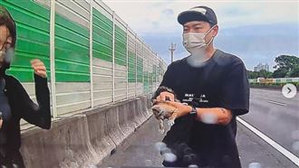 男星國道驚見瀕死小貓！結局曝光全網融化