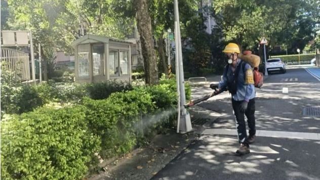 台灣街頭消毒觀光扣分?日網紅:很糟糕