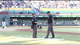 統一獅、台鋼雄鷹之戰二壘審陳均瑋身體不適退場。（圖／翻攝自CPBLTV）