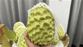 鳳梨釋迦引討論　農民：最大問題是中國課29%稅台東縣長饒慶鈴以預錄影片方式參加海峽論壇爭取釋迦市場遭查處；不過有農民表示，這些討論沒意義，最主要問題是中國課台灣農產品29%稅（20%關稅加上9%增值稅）。圖為鳳梨釋迦。中央社記者盧太城台東攝  115年6月19日